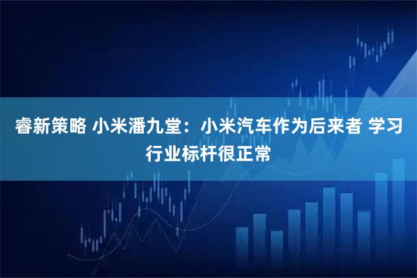 睿新策略 小米潘九堂：小米汽车作为后来者 学习行业标杆很正常