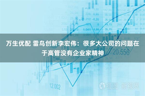 万生优配 雷鸟创新李宏伟：很多大公司的问题在于高管没有企业家精神