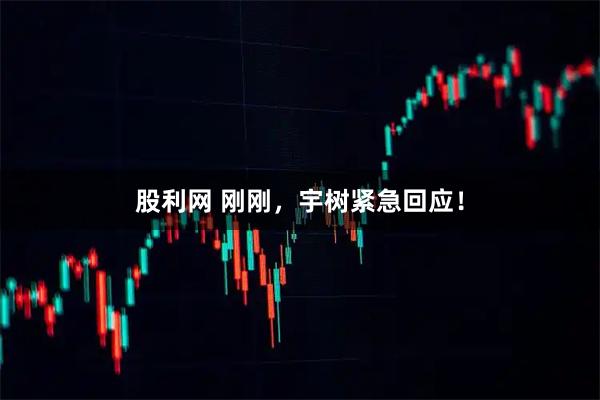 股利网 刚刚，宇树紧急回应！