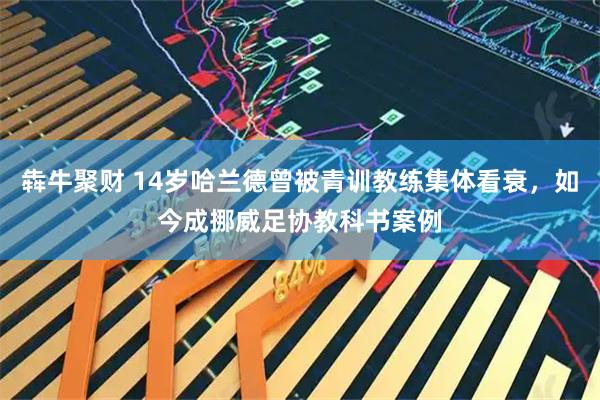 犇牛聚财 14岁哈兰德曾被青训教练集体看衰，如今成挪威足协教科书案例